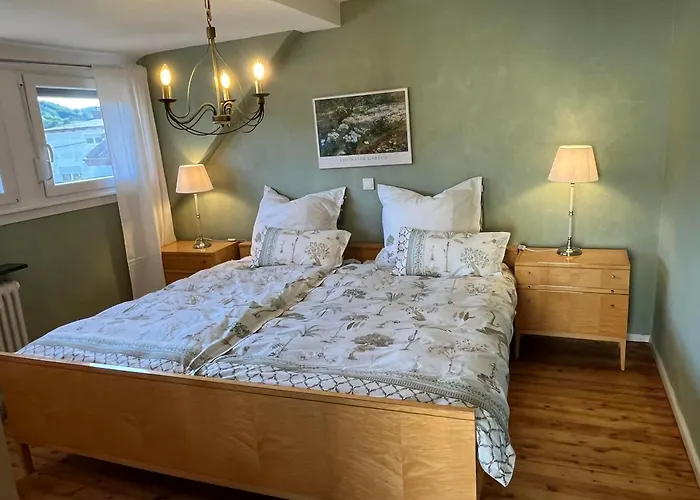 Schoenbachhof 펜션 *