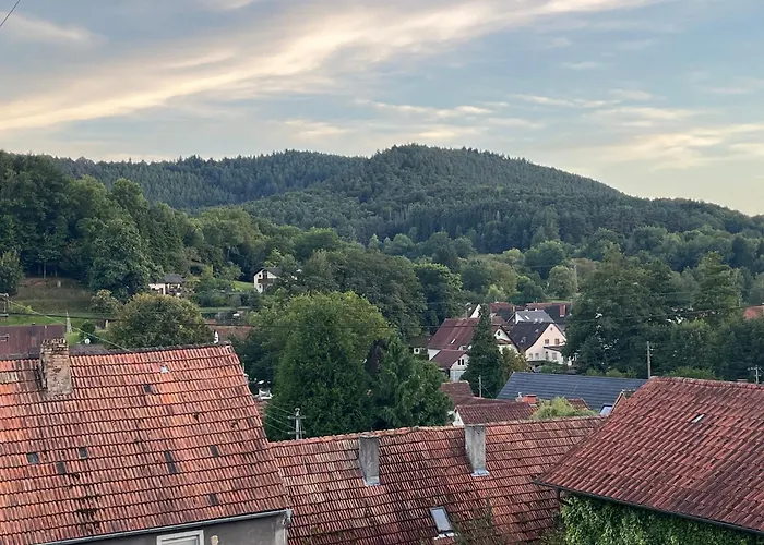 펜션 Schoenbachhof *