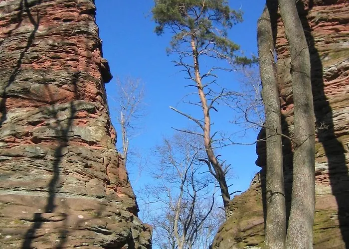 펜션 Schoenbachhof 실즈